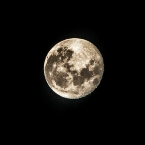Mond
