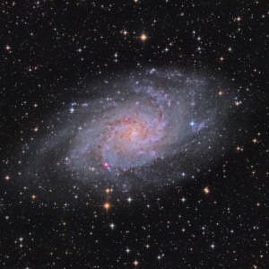 M33 LRGB-HO