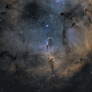 Elephant Nebula und Karawane