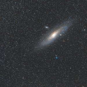 M31