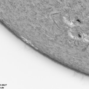 4 - 2021104 - 1036UT.jpg