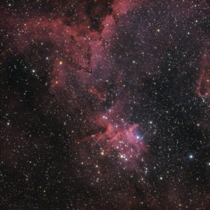 Melotte15