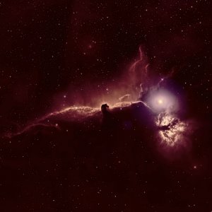 Pferdekopf-Nebel Extrem