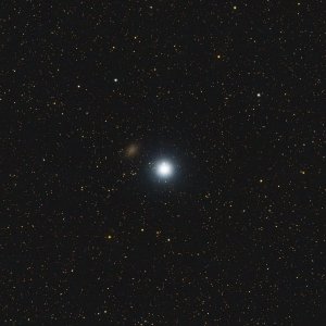 Regulus und die Zwerggalaxie PGC 29488