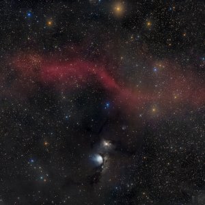 M78 und Barnard´s Loop