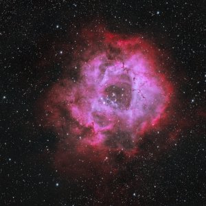 Rosetten-Nebel NGC2244 in HOO