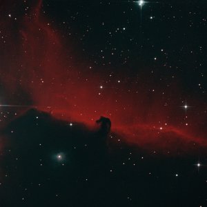 NGC 2024 Flammennebel und IC 434 Pferdekopfnebel