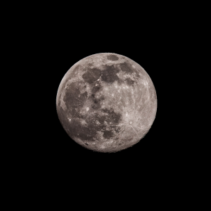 Mond 15.02.2022 Single Shot