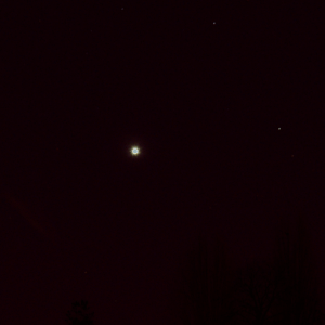 Venus 24.02.22
