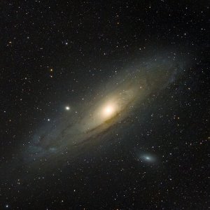 M31