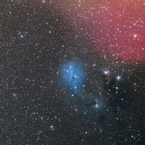 IC 447.jpg