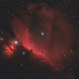 IC434 (Crop)