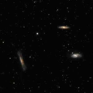 M65 - Leo Triplett