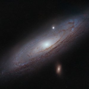 M31 entsternt