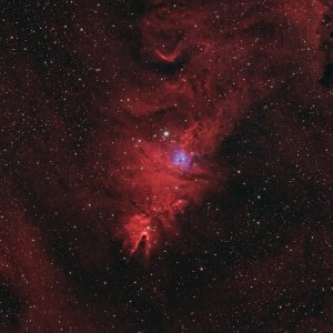 NGC2264 widefield.jpg