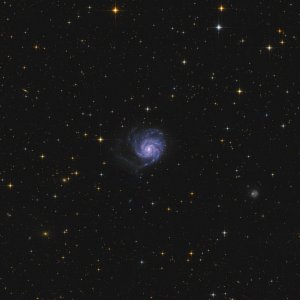M101 widefield