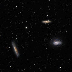 M65 Leo Triplett