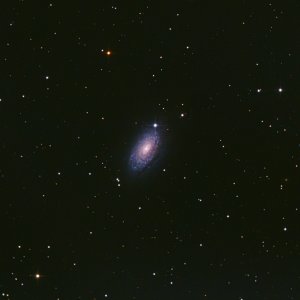 M 63