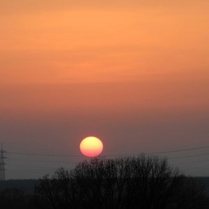 Die Sonne und ihr Seiltanz im Saharastaub