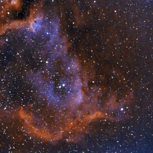 IC1848GNkomposit.jpg