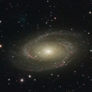 M81 solo