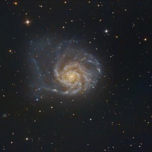 M101