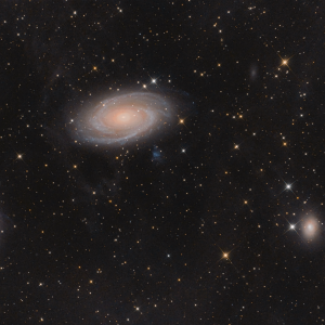 M81 und Umgebung