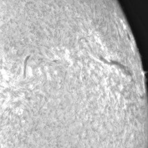 03-27-2022-15_38_40_lapl7_ap342.jpg