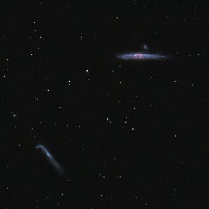 NGC4631-csc-St_final-reduziert.jpg