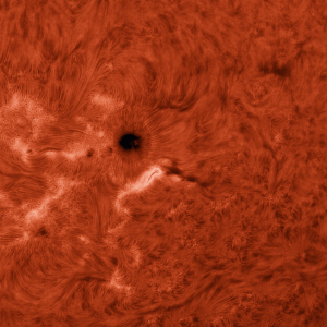 10min Sonnenanimation AR2978.gif