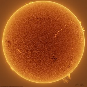 Die Sonne mit Protuberanzen und Filamenten - 07 April 2022