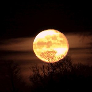 Oster-(Fast)-Vollmond