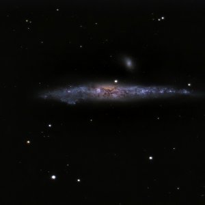 NGC4631_Walgalaxie.jpg