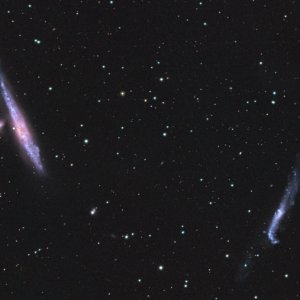 Walgalaxie NGC 4631 mit NGC 4656