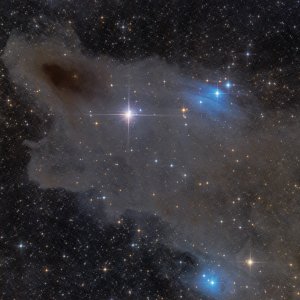 LDN 1235 - Dark Shark Nebula