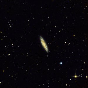 M108 "Surfboard-Galaxie" (NGC3556)