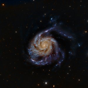 M101