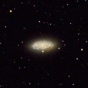 NGC2976 (M81 Gruppe) als Crop