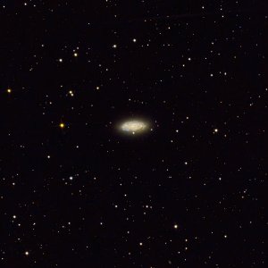 NGC2976 (M81 Gruppe)