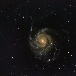M101 test