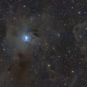 NGC 7023: Iris Nebula at ITV 2022