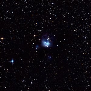 NGC7129 („Kosmische Rosenknospe“)