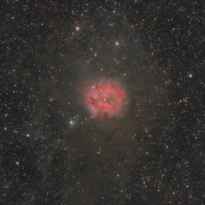 IC 5146, der Kokonnebel