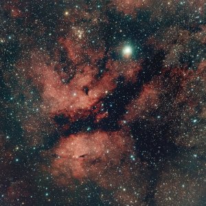 IC1318 - Gegend um Sadr im Sternbild Schwan