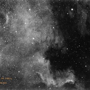 NGC 7000