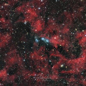 NGC6914 - Reflektions Nebel