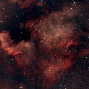 NGC 7000