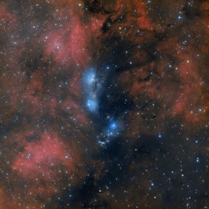 NGC 6914, der Staubteufel im Schwan