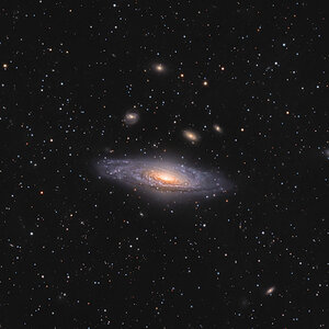 NGC7331