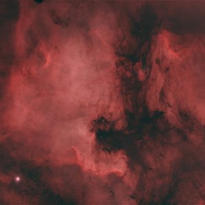 NGC7000,etc ohne Sterne (ok, ein paar sind noch zu sehen ;-))
